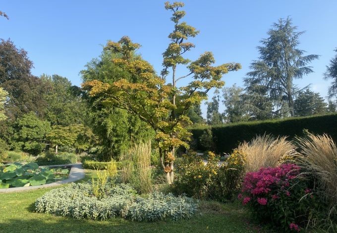 Gräser und Stauden im Herbst