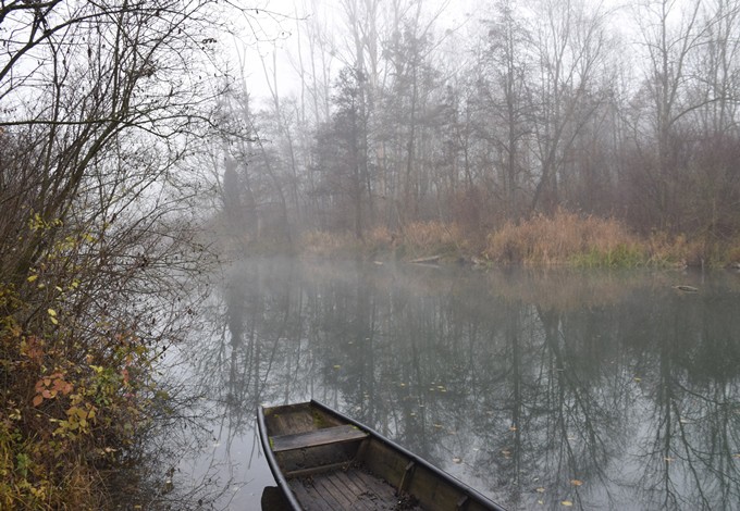 Foto: Gudrun Fuß Herbststimmung