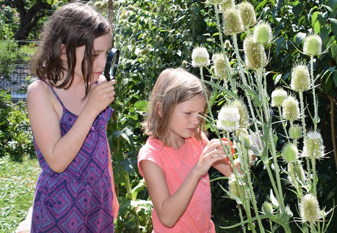 Foto: Gudrun Fuß Kinder beobachten Wildbienen