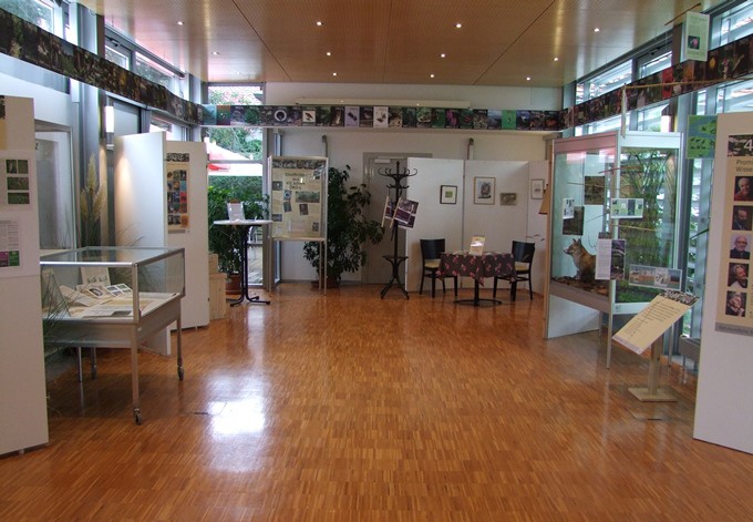 Foto: Naturkundliche Station Linz Ausstellungsraum