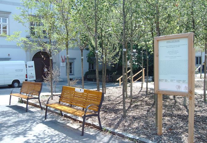 Bäume vor dem Nordico