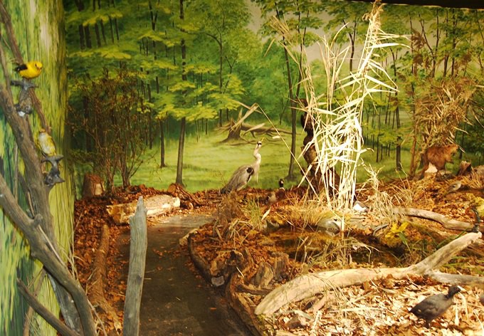 Nachbau einer Aulandschaft