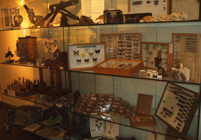 Vitrine mit alten Geräten