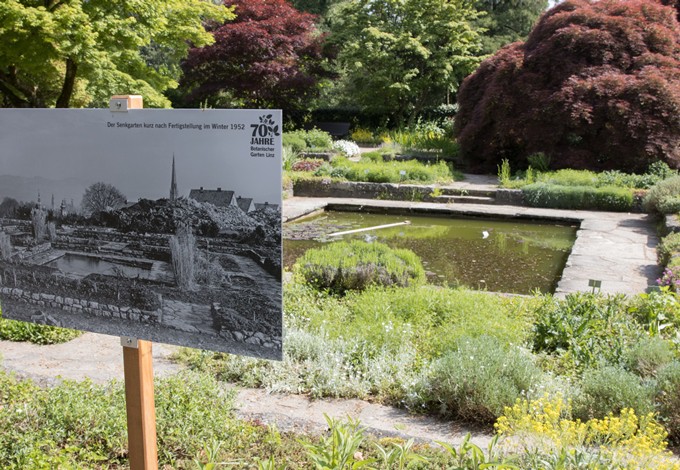 Foto: Gerhard Pirngruber Ein Foto von 1952 wurde im Senkgarten aufgestellt.